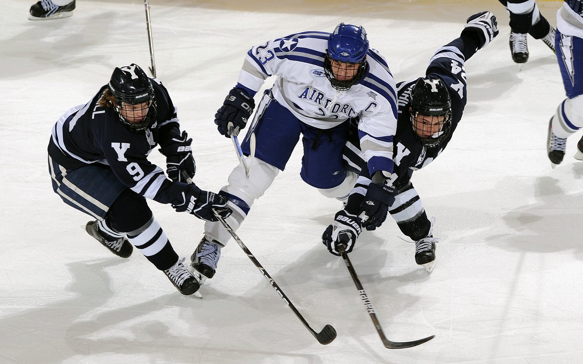 北京首钢迎来赵睿训练 期待值拉满，首钢赵波